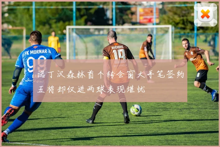 诺丁汉森林首个转会窗大手笔签约五将却仅进两球表现堪忧
