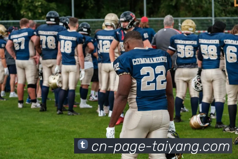 太阳城服务体系